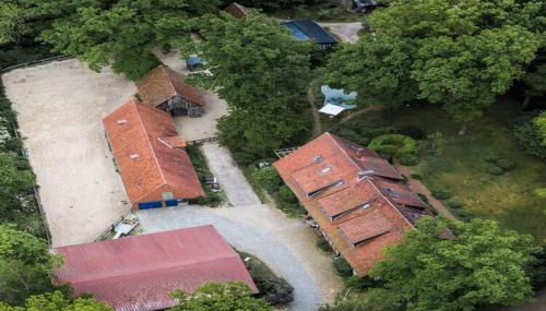 Ferienwohnung in Dorfmark - Foto 2