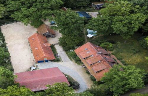 Ferienwohnung in Dorfmark - Foto 2