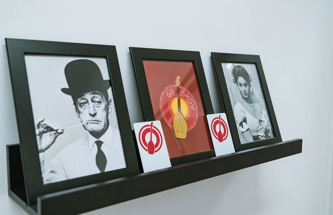 GG - Grow - Santa Brigida - Foto 36