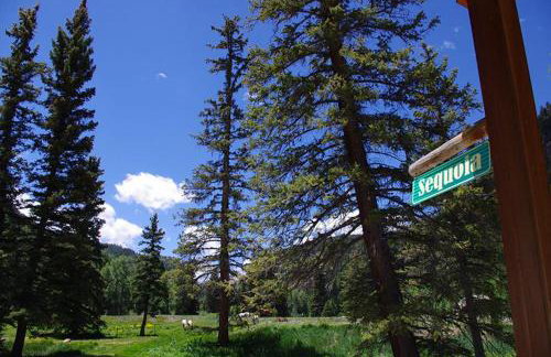 Sequoia - Foto 33
