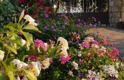 Casa Marianna - Foto 49