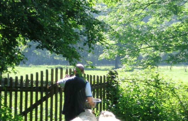 Apartment in a Wooded Area on Lake Faak - Foto 13