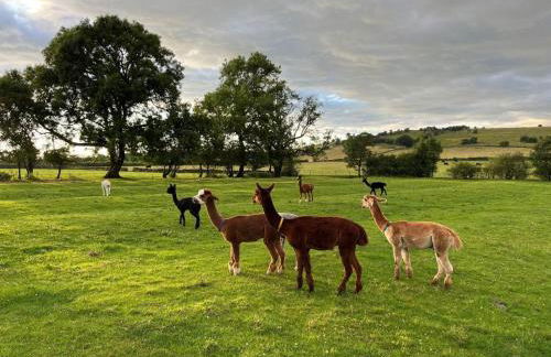 2 Bed in Matlock oc-77632 - Foto 16