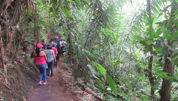 Santo Domingo de Los Tsachilas Day Trip - Foto 3