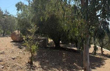 Varvayanni Villa - Foto 48