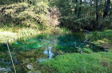 Three Little Birds Artists Residence - Foto 66