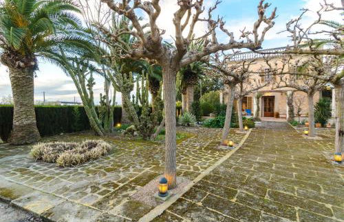 Sort Nova - Photo 29