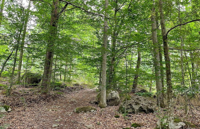 4 Star Holiday Home in Karlshamn-by Traum - Photo 23