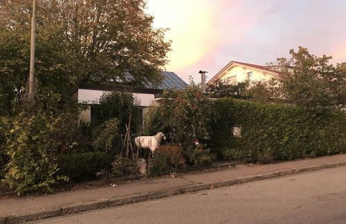 Ferienhaus Schillerstraße - Photo 17