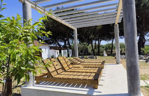 Casa do Lagar - Foto 6