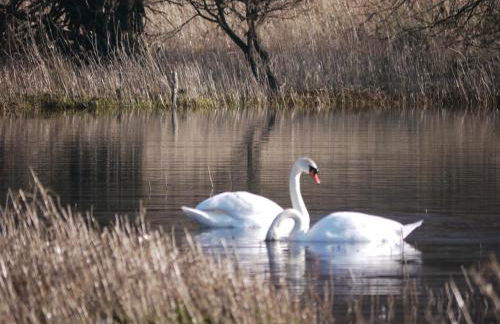Lodge by the Lake - Lake District - Hot Tub - Foto 50