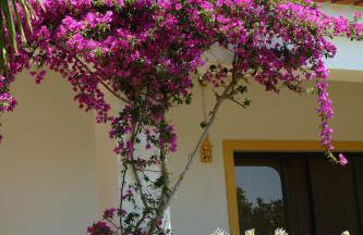 Feliz Apartments - Foto 78