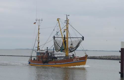 Haus Dat lüttje Huus - Foto 19