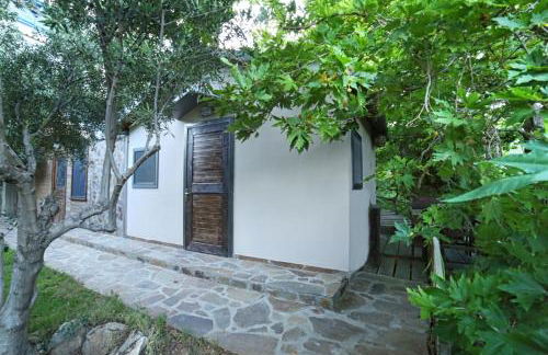 Captain Ikaros - Foto 76