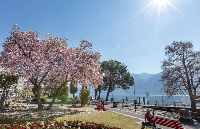 Collina Verde B - Foto 19