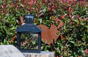 Gîte classé deux étoiles gite de France n 17 Signy-le-Petit - Foto 29