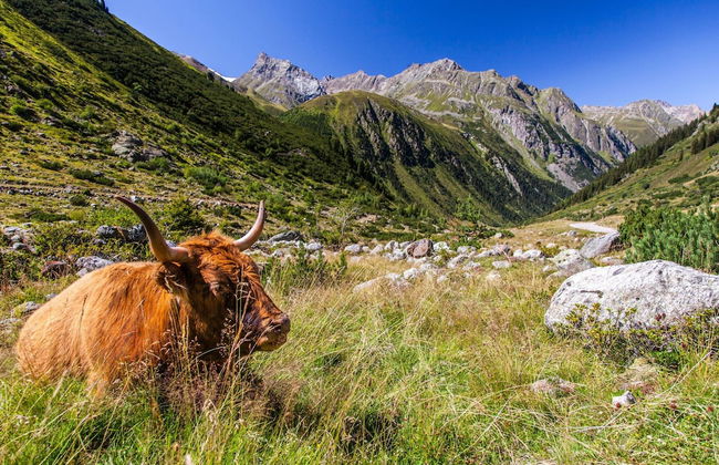 New Apartment in the Beautiful Pitztal - Foto 35