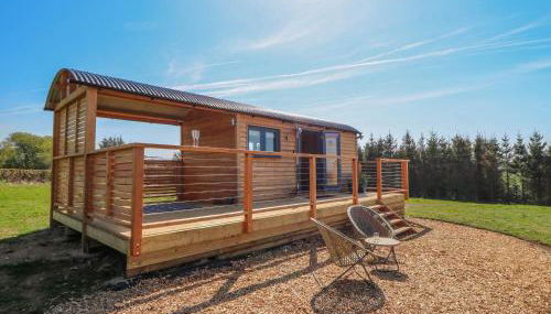 Fir Tree Shepherd's Hut - Photo 1