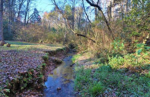 Cute Cabin creek & Firepit #12 - Foto 2