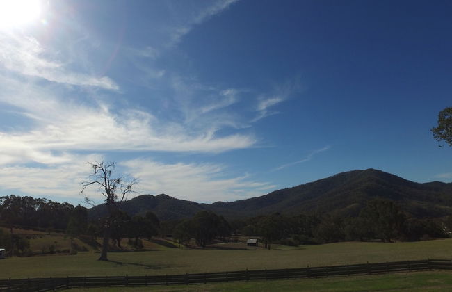 The Black Sparrow - Photo 66