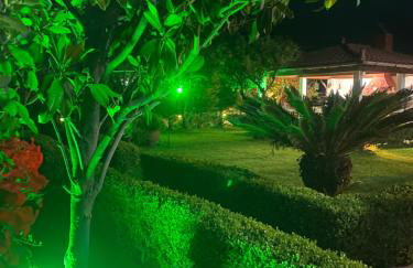 Corinthian Green Villa - Photo 49