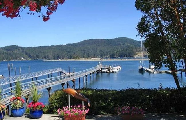 Salty Towers Oceanfront Cottages - Foto 34