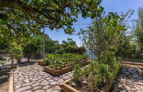 Villa Solatia - Foto 37