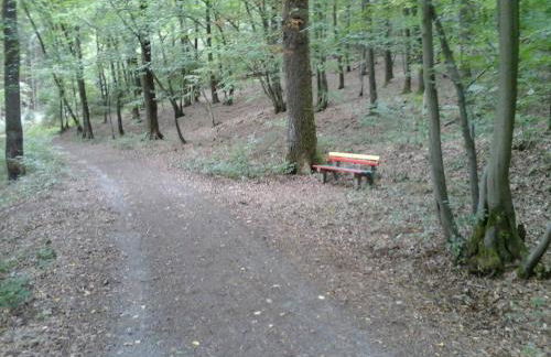 Ferienwohnung Klein am Natursteig Sieg - Foto 26