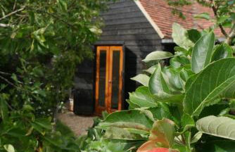 The Little Orchard - Foto 2