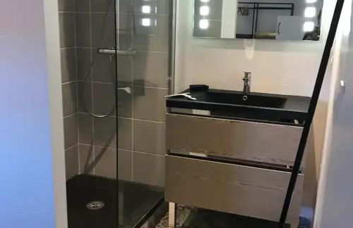 Gîte charmant près du circuit du Mans, 12 pers., 5 ch., rénové avec 3 sdb, nature et attractions proches - FR-1-410-342 - Foto 3