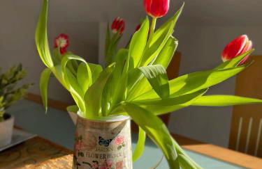 Ferienwohnung Taunusurlaub - Foto 11