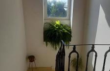 Casina Grassi In Salento - Foto 32