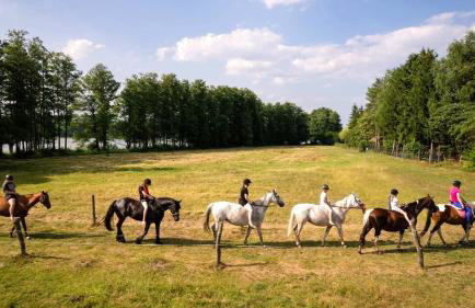 Sasek Mały # Pensjonat # Jazdy Konne - Foto 16