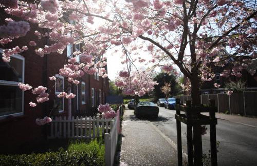 Cosy Dog Friendly Cottage with Woodburner & Garden - Photo 12