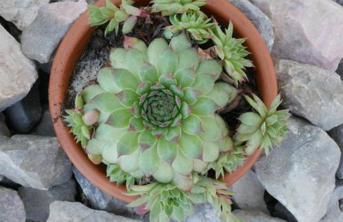 Villa Paradise - Foto 12