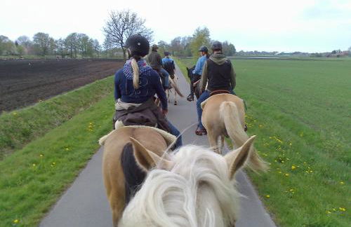 Ferien- und Reiterparadies Voßhörnerhof - Foto 32