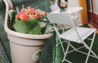 Le nid douillet - Foto 24