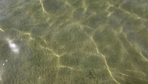 Bella Shores - Stunning Sunsets and Sandy Shoreline - Foto 4