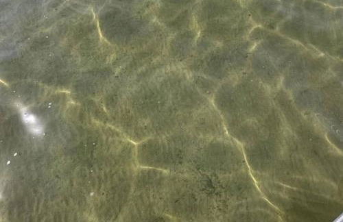 Bella Shores - Stunning Sunsets and Sandy Shoreline - Foto 4