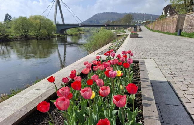 Wohnung in Hoxter Nahe Schloss Corvey - Foto 18