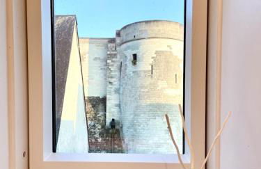 Vue incroyable Loire et Chateau - Foto 32