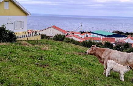 Casa da Maíssa - Foto 11