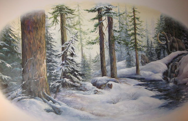 La Vista Blanc by Mammoth Reservation Bureau - Foto 37