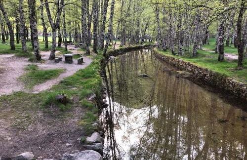 Casa dos Jasmins by Lisbon Village Apartments - Foto 19