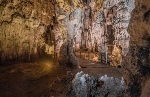 Apartman Djak - Foto 13