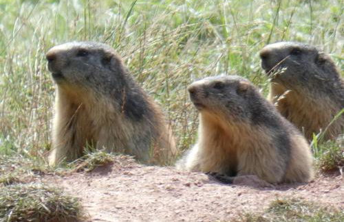 Apt les luges pour 4 à 6 pers vue vallée wifi - Photo 28