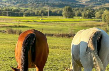 El racó de Montana Park - Foto 27