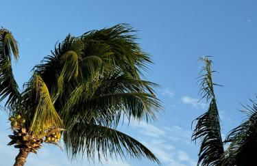 Malie Bangalô - Alagoas - Photo 65