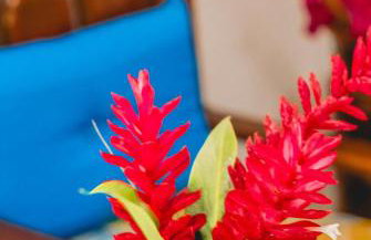 Morada da Praia - Porto de Pedras à Beira-Mar - Foto 79