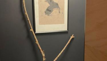 TinyStory - das Appartement mit Hotelgefühl in Obernburg - Foto 4